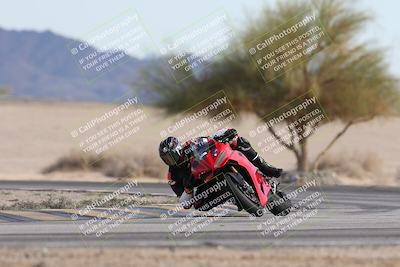 media/Nov-30-2025-TrackXperience (Sun) [[c0061d280f]]/2-Level 2/Session 6 Turn 4 Tree of Life/